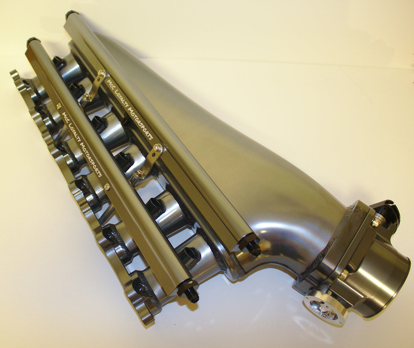 Intake Manifold, Fuel Rail, & Accessories (Throttle Body Added Separately)