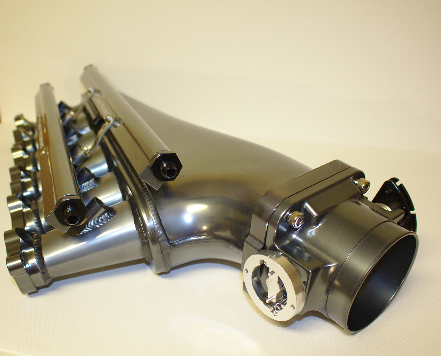 Intake Manifold, Fuel Rail, & Accessories (Throttle Body Added Separately)