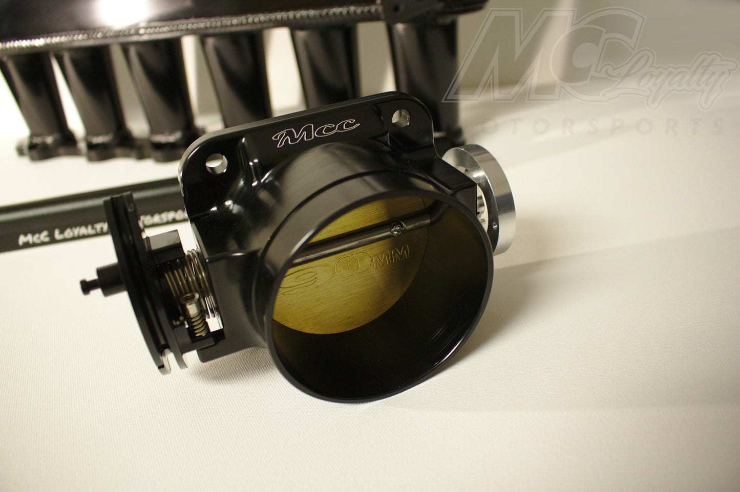 Intake Manifold, Fuel Rail, & Accessories (Throttle Body Added Separately)