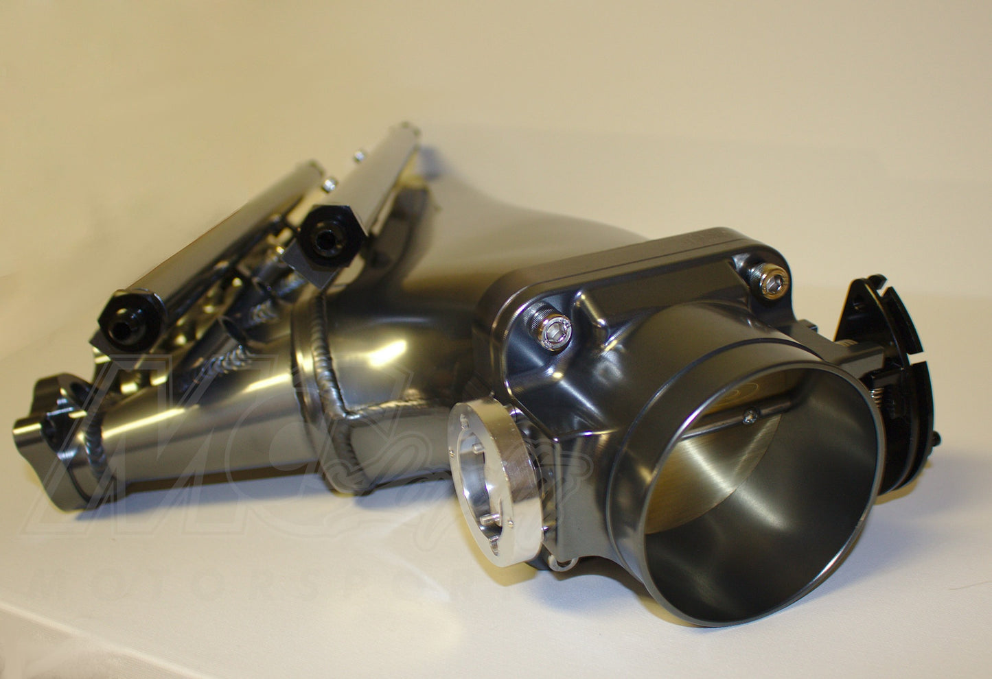 Intake Manifold, Fuel Rail, & Accessories (Throttle Body Added Separately)