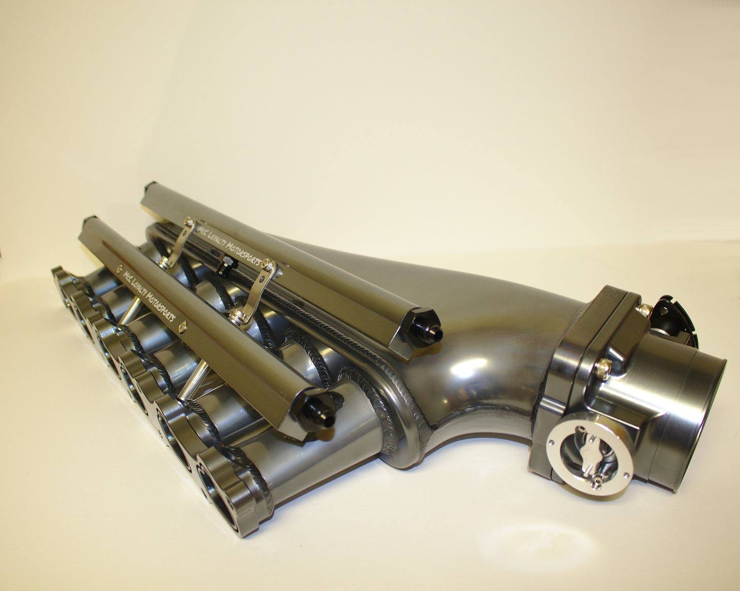 Intake Manifold, Fuel Rail, & Accessories (Throttle Body Added Separately)